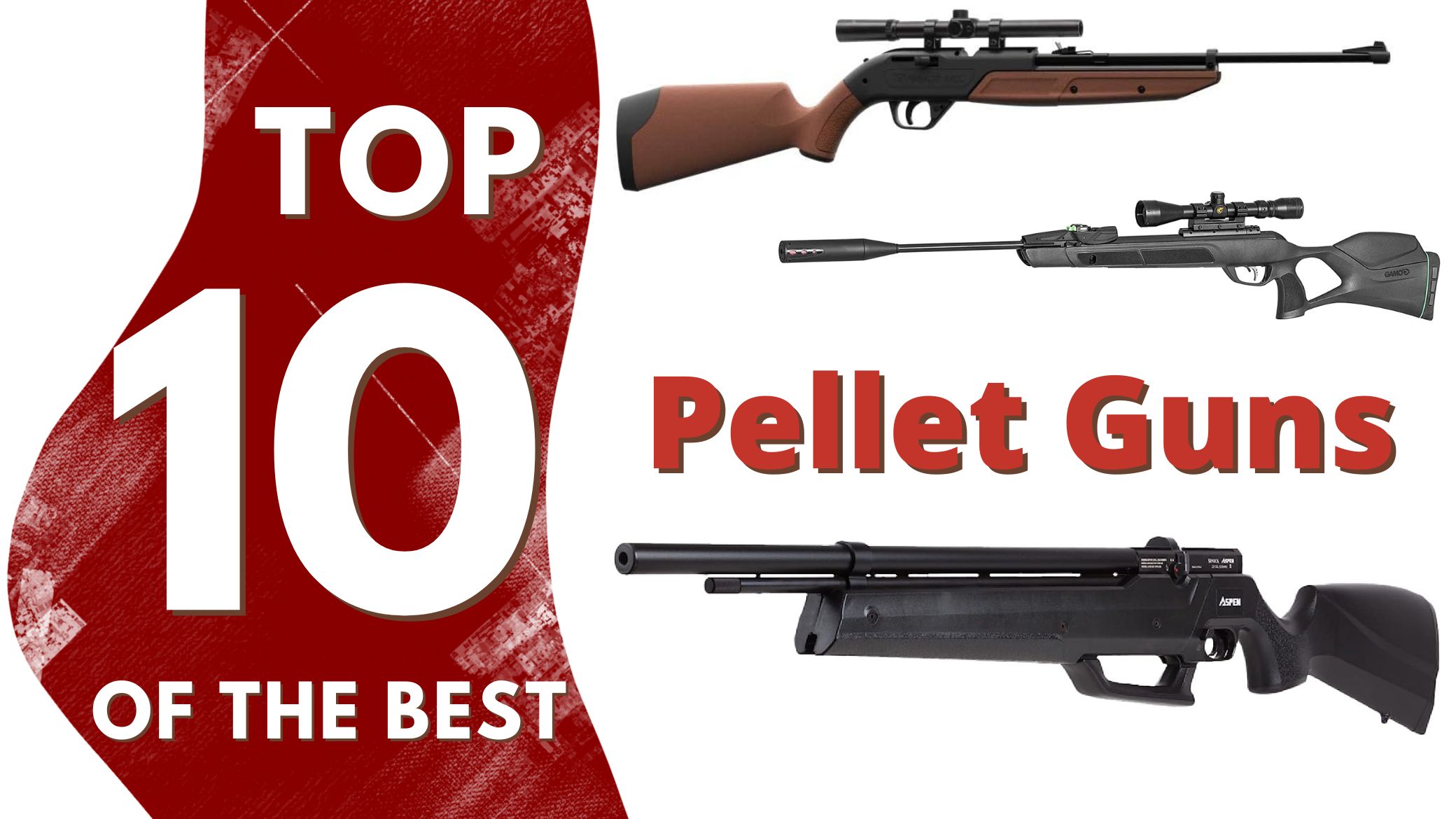 Top 10 Best Pellet Guns