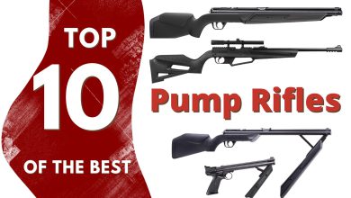 Top 10 Best Pump Action Air Rifles