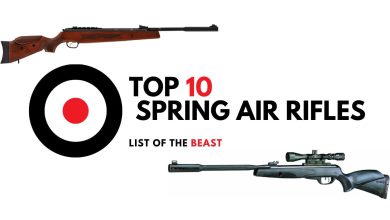 Top 10 Spring Air Rifles