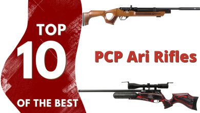top 10 of teh best PCP air rifles