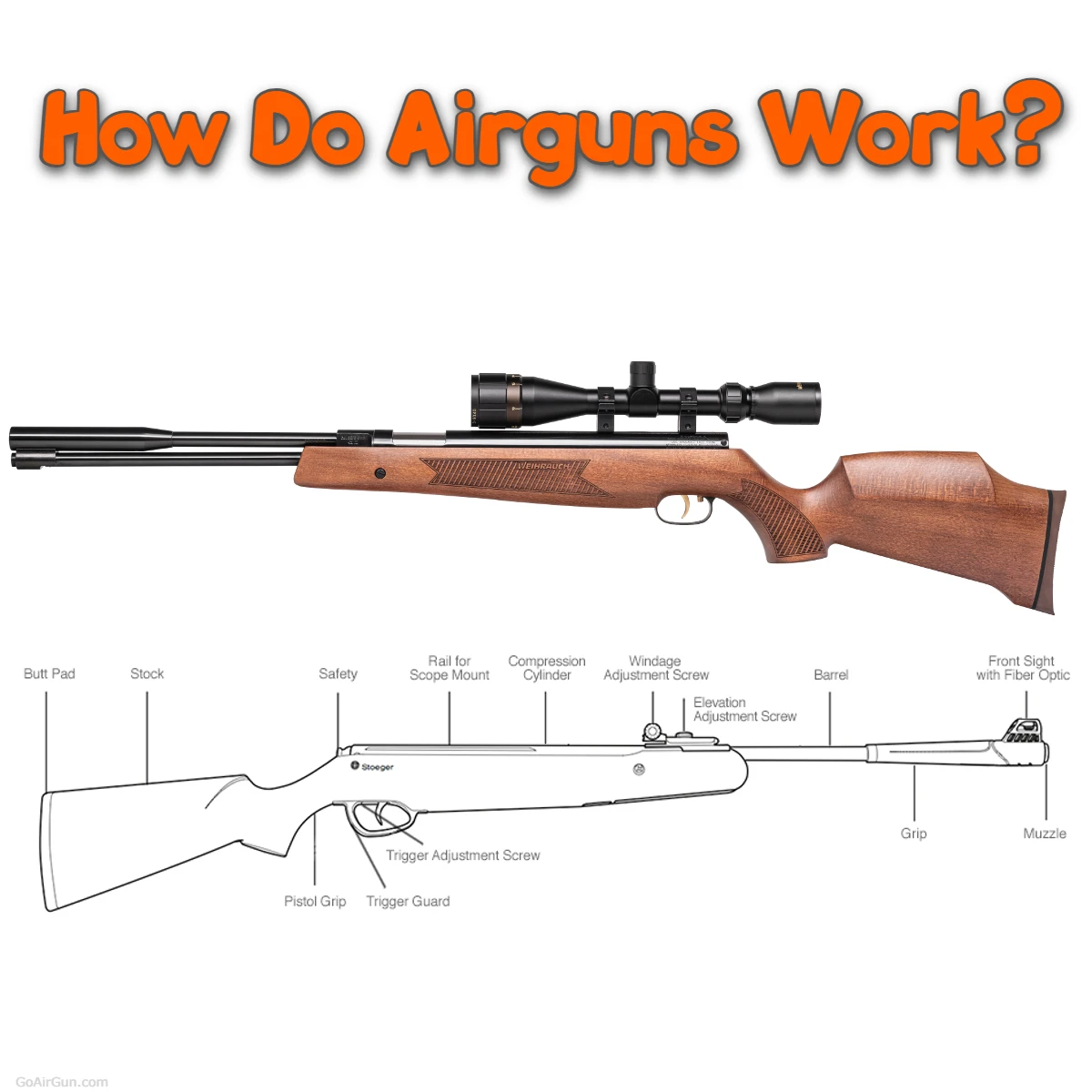 How Do Airguns Work